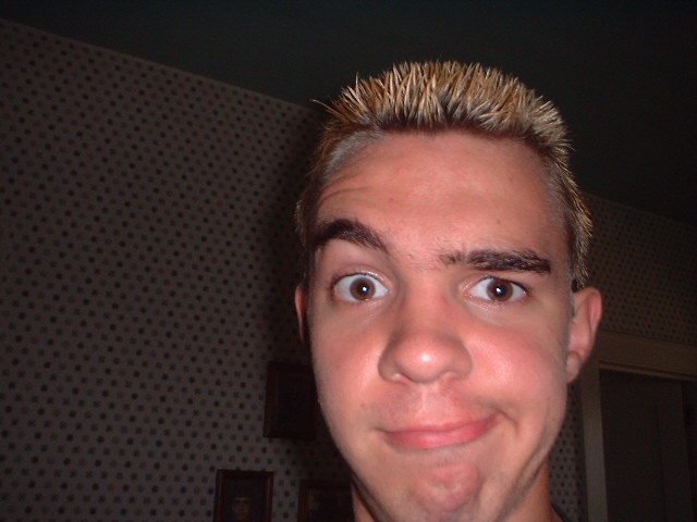 tim01.jpg